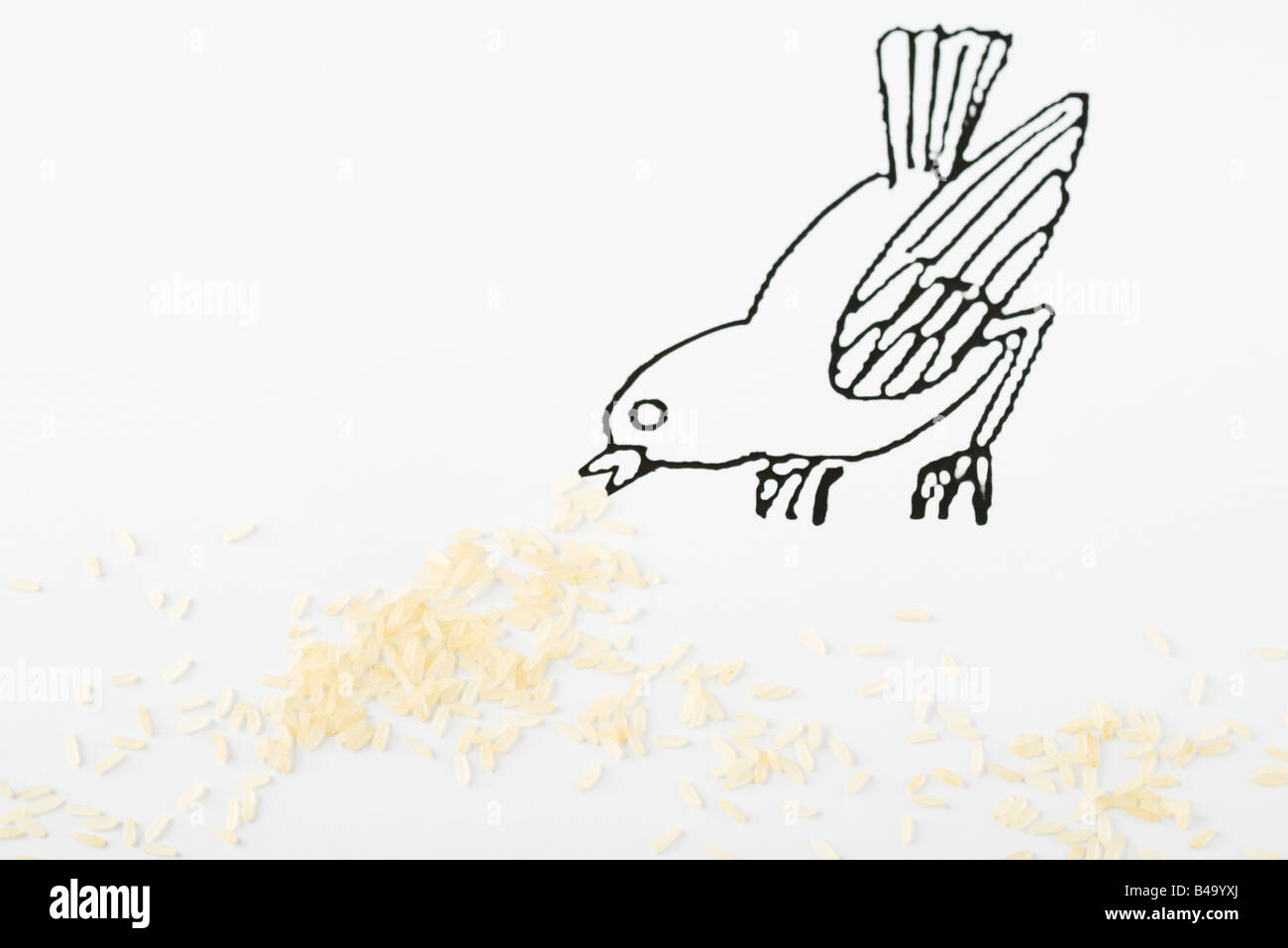 Vögel picken an Reis Stockfoto