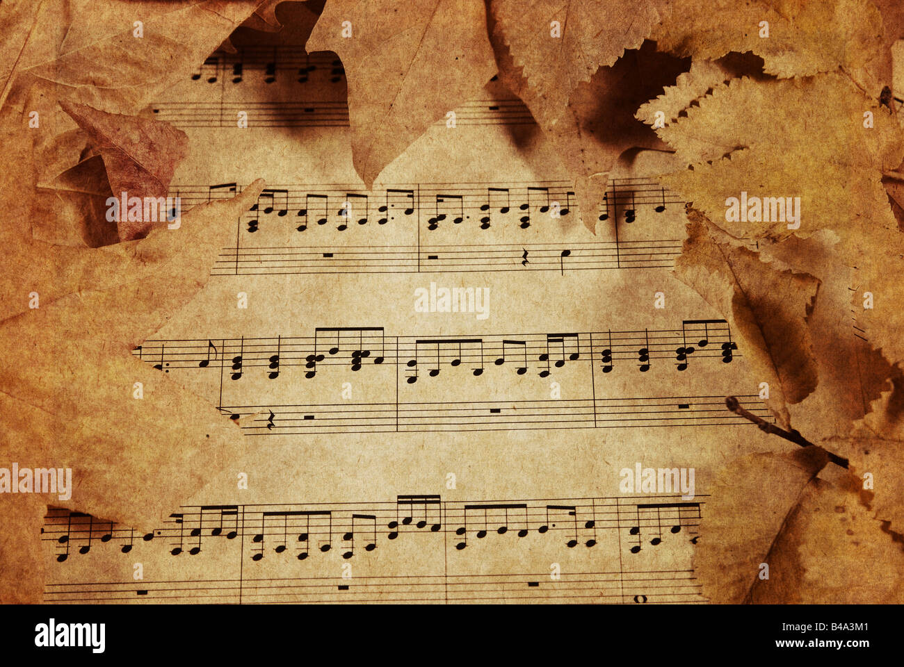 alten Pergament-Papier mit Musik und Sturz oder Herbstlaub Stockfoto