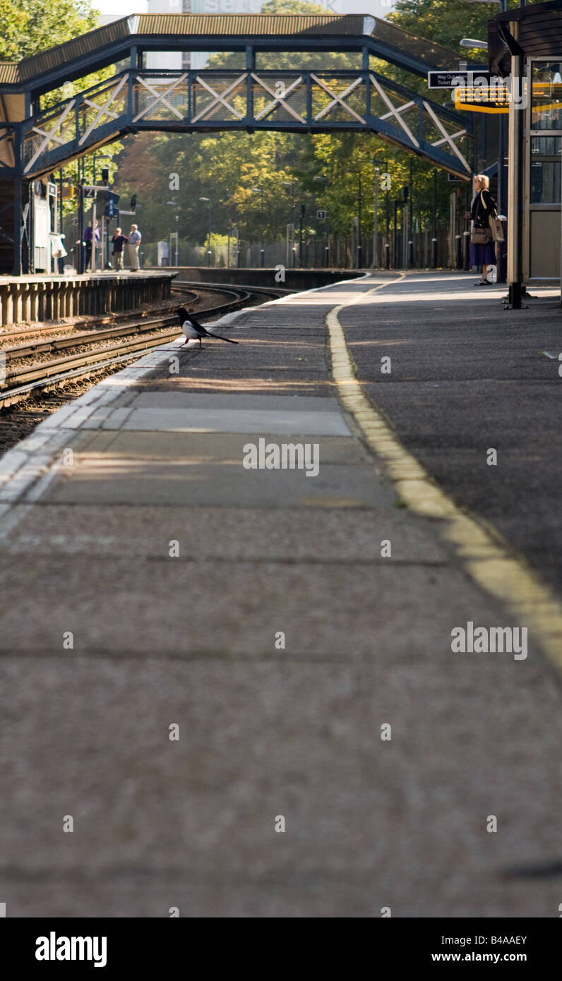 Plattform am Bahnhof Maze Hill, Greenwich, London, Großbritannien Stockfoto