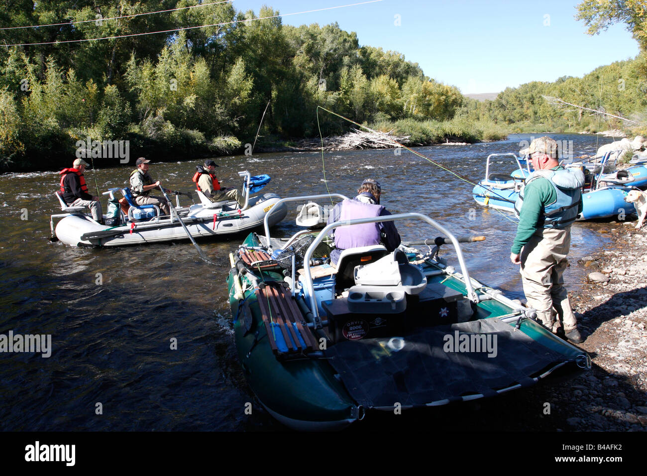 Drift-Fischerei auf der Gunnison River Colorado, USA Stockfoto