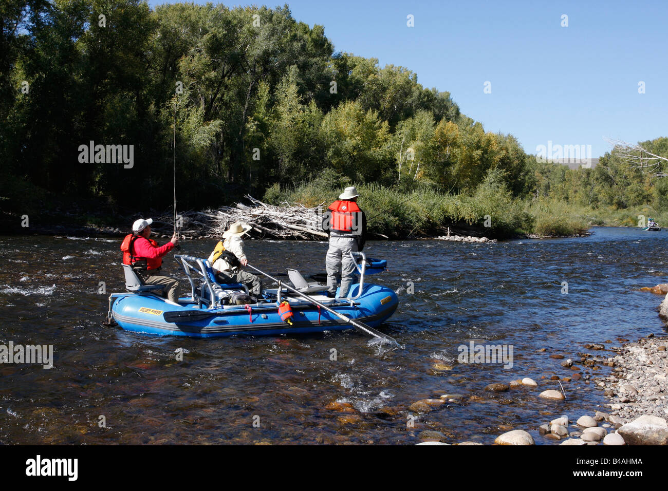 Drift-Fischerei auf der Gunnison River Colorado, USA Stockfoto