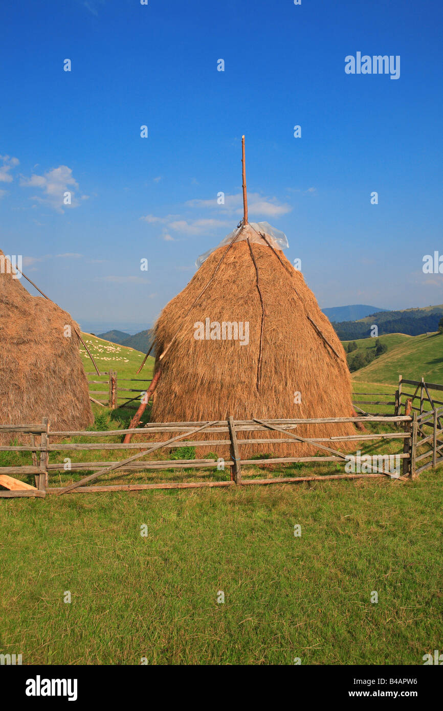 Rumänien, Siebenbürgen, Paltinis, in der Nähe von Sibiu Stockfoto