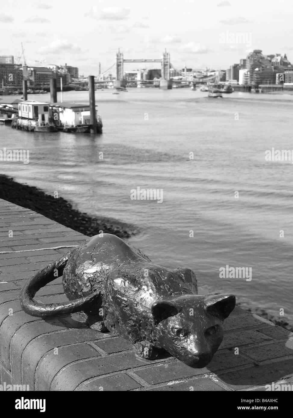 Katze-Statue am Südufer der Themse mit Tower Bridge in Wien Stockfoto