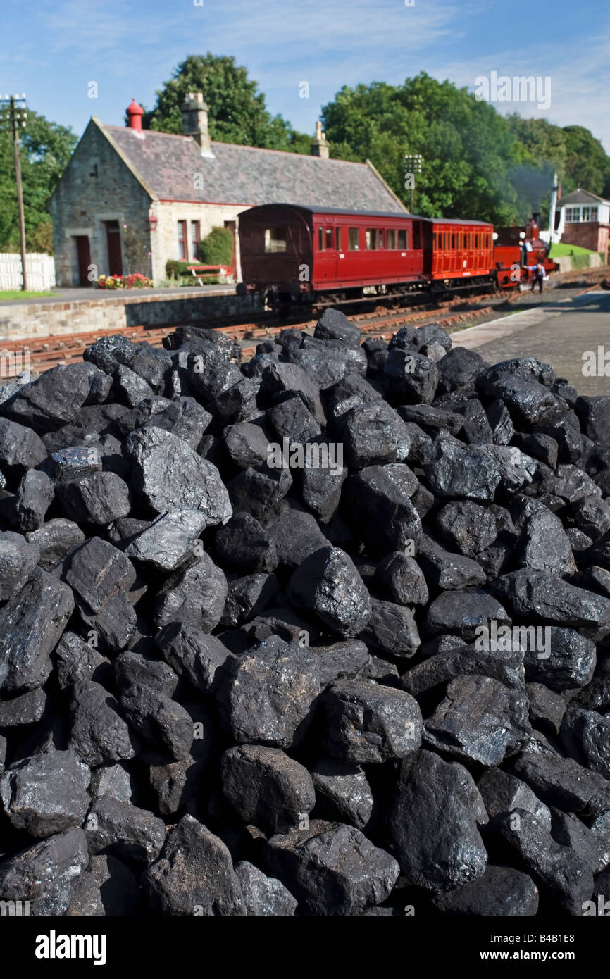 Eine Dampflokomotive Furness Railway Nr. 20 und Wagen an die Erholung der Rowley Talstation Beamish, County Durham, England Stockfoto