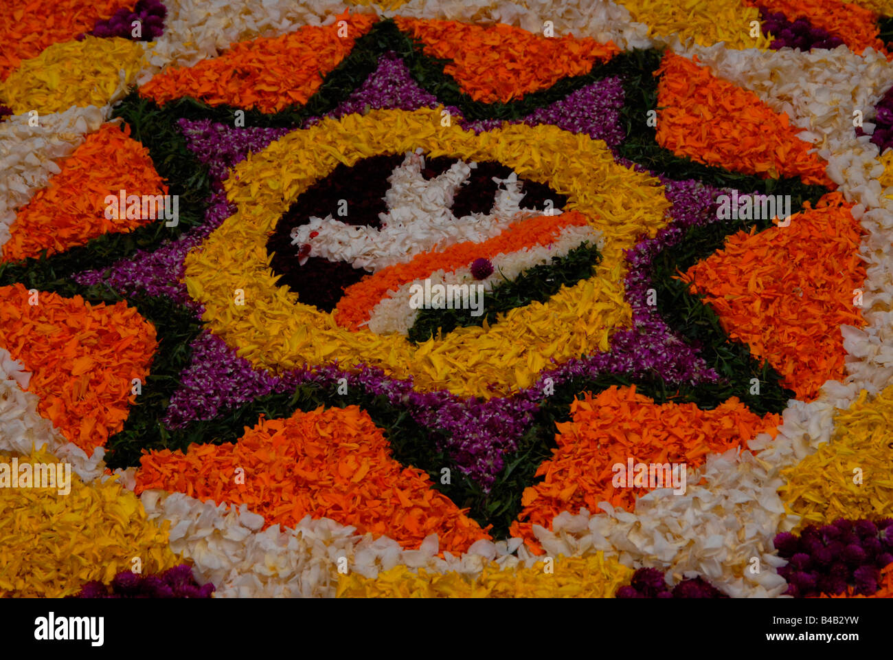Blumenkunst (Pookklalam) von Kerala, Indien Stockfoto