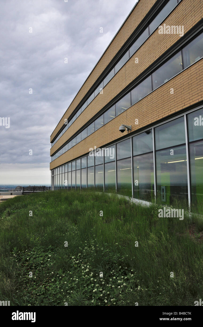Grün auf dem Dach (Leed zertifiziert) des Gebäudes Lassonde der Polytechnique Engineering Universität Montreal Stockfoto