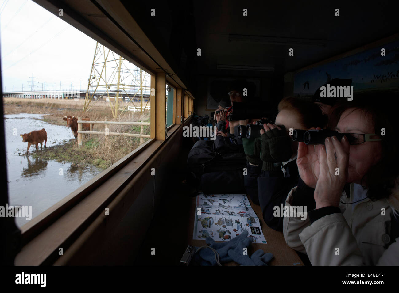 Birdspotters Peer Fernglas in einem Versteck in der RSPB Vogel- und Tierwelt reservieren an Rainham Marshes, Essex Stockfoto