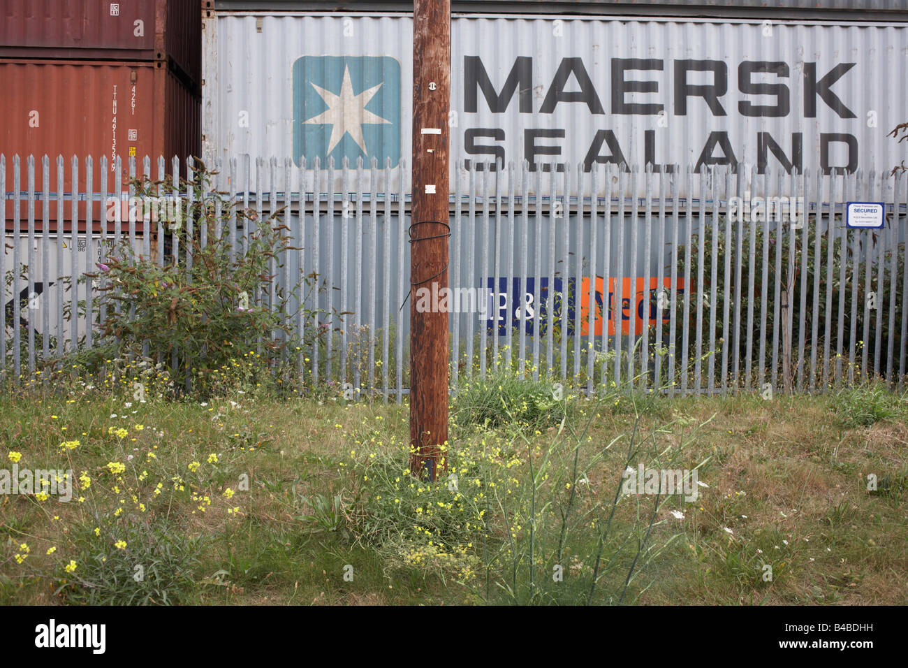 Maersk Sealand und P & O Versandbehälter und Zaun Sicherheitslandschaft bei Tilbury Docks perimeter Stockfoto