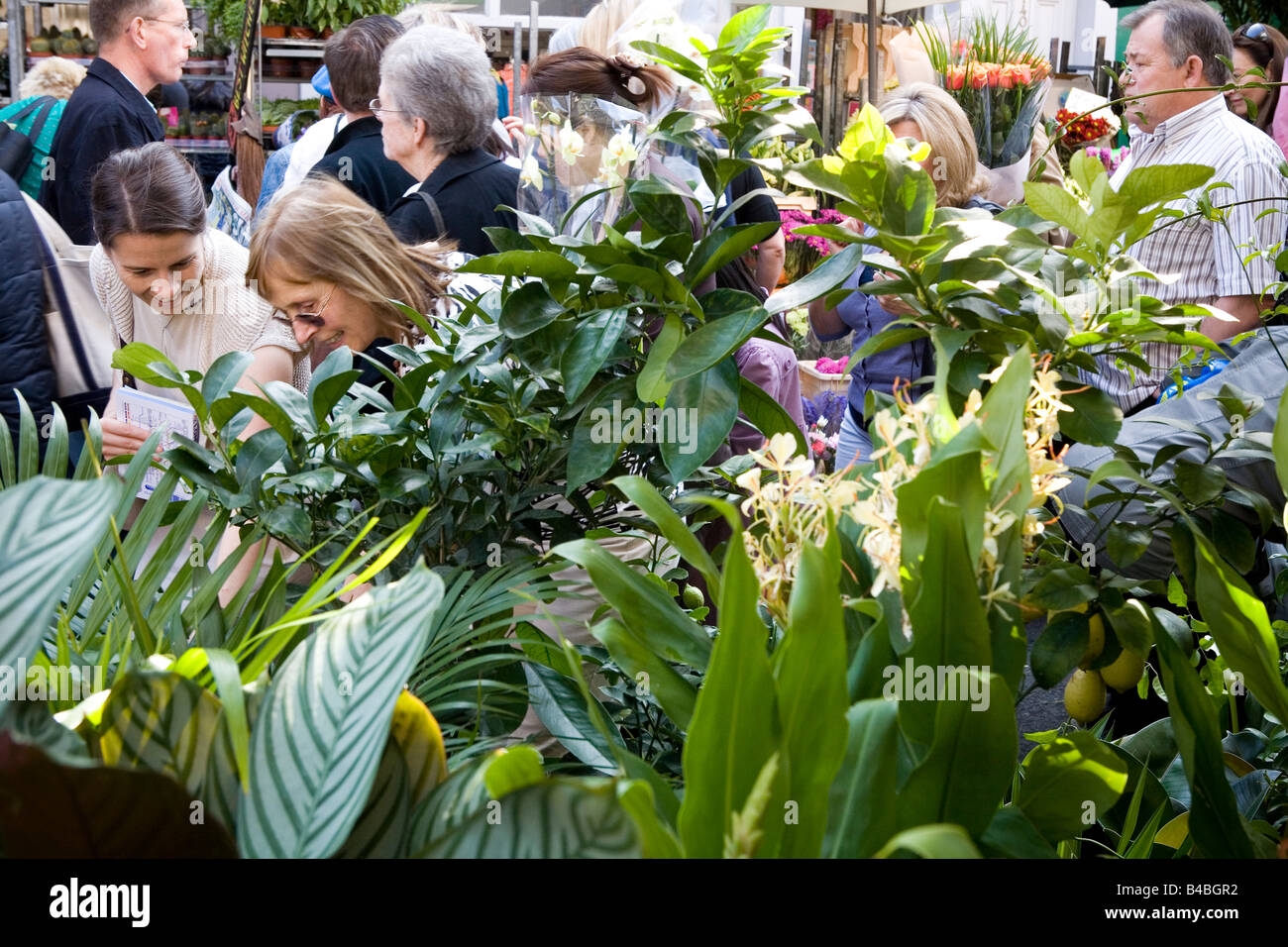 Kolumbien Straße Blumenmarkt an einem Sonntagmorgen, Bethnal Green, East London Stockfoto