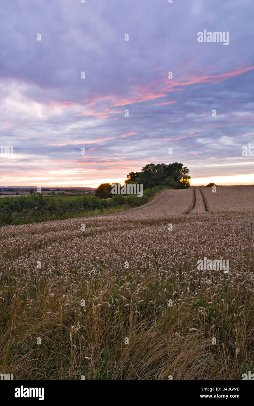 Sonnenuntergang über der Mendip Hügel, Somerset UK Stockfoto