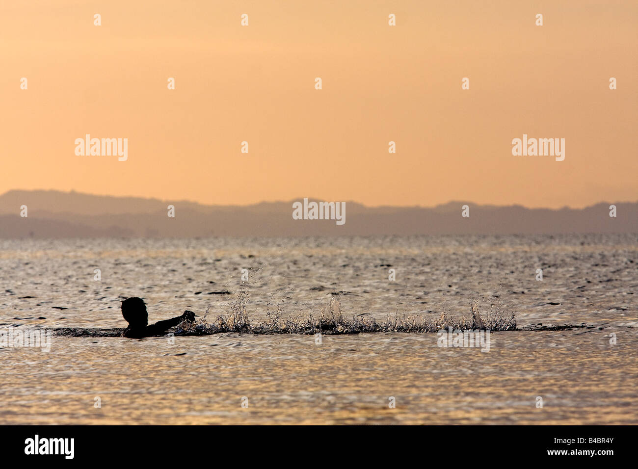 Ein Darlehen Fischer wirft und wirft sein Netz in Nicaragua-See bei Sonnenuntergang in der Silhouette. Stockfoto