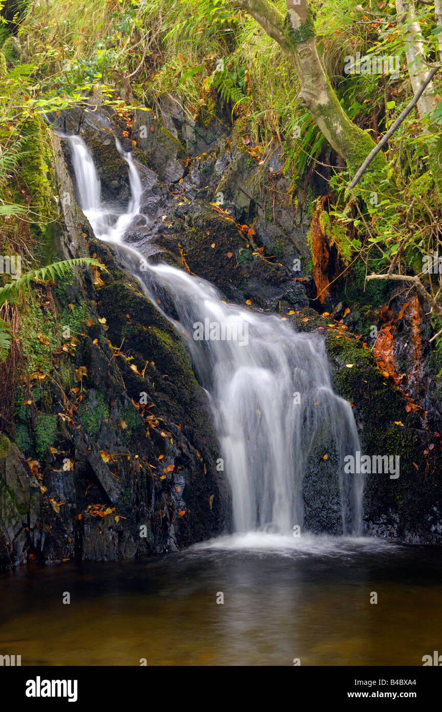 Ein kleiner Wasserfall zu Beginn des Herbstes Stockfoto