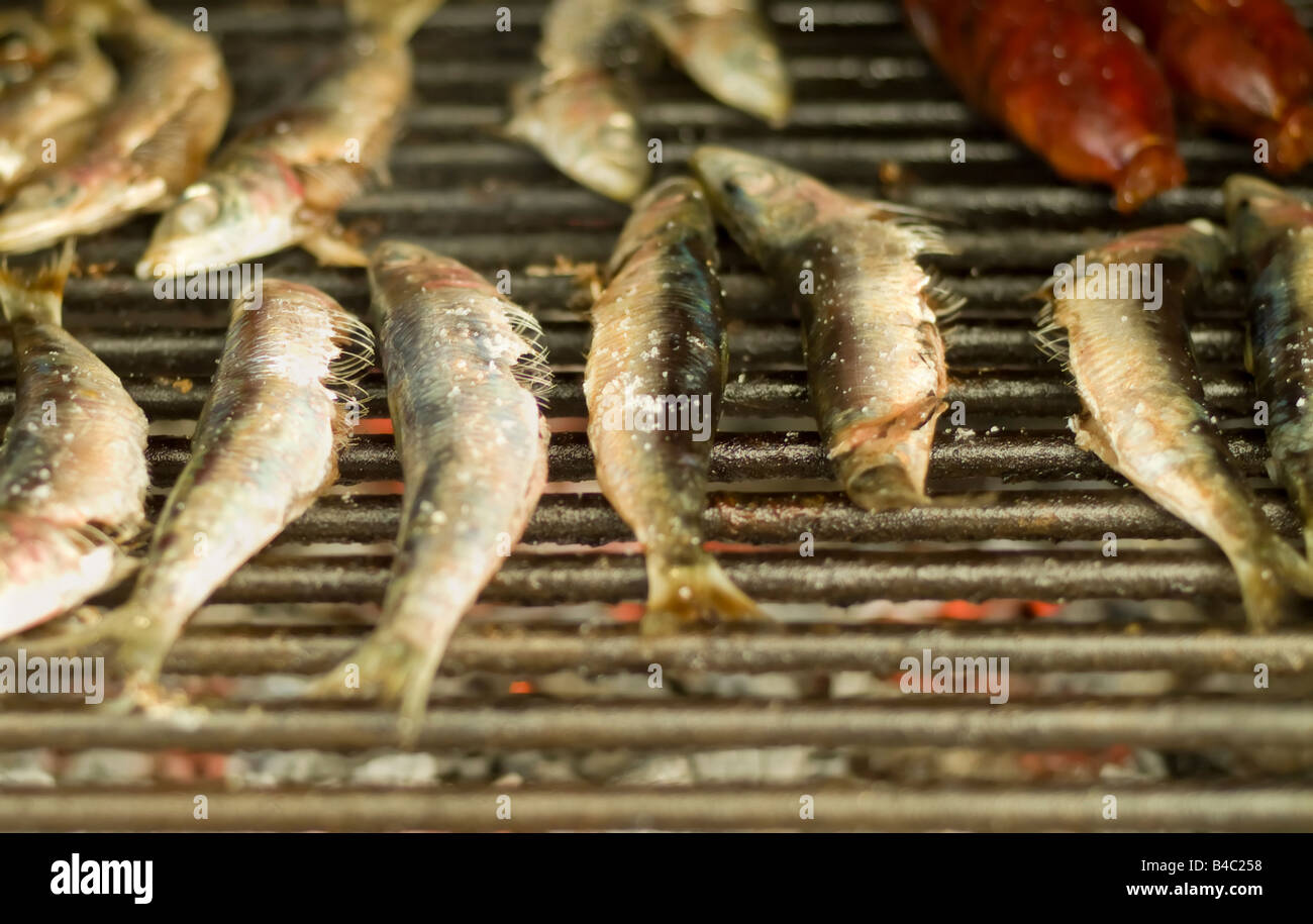 Gegrillte Sardinen und Fleisch über gebratene Barbecue-grill Stockfoto