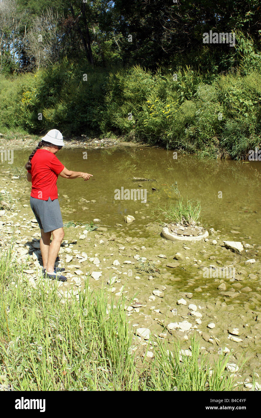 Hinweis auf Reifen im Creek Stockfoto