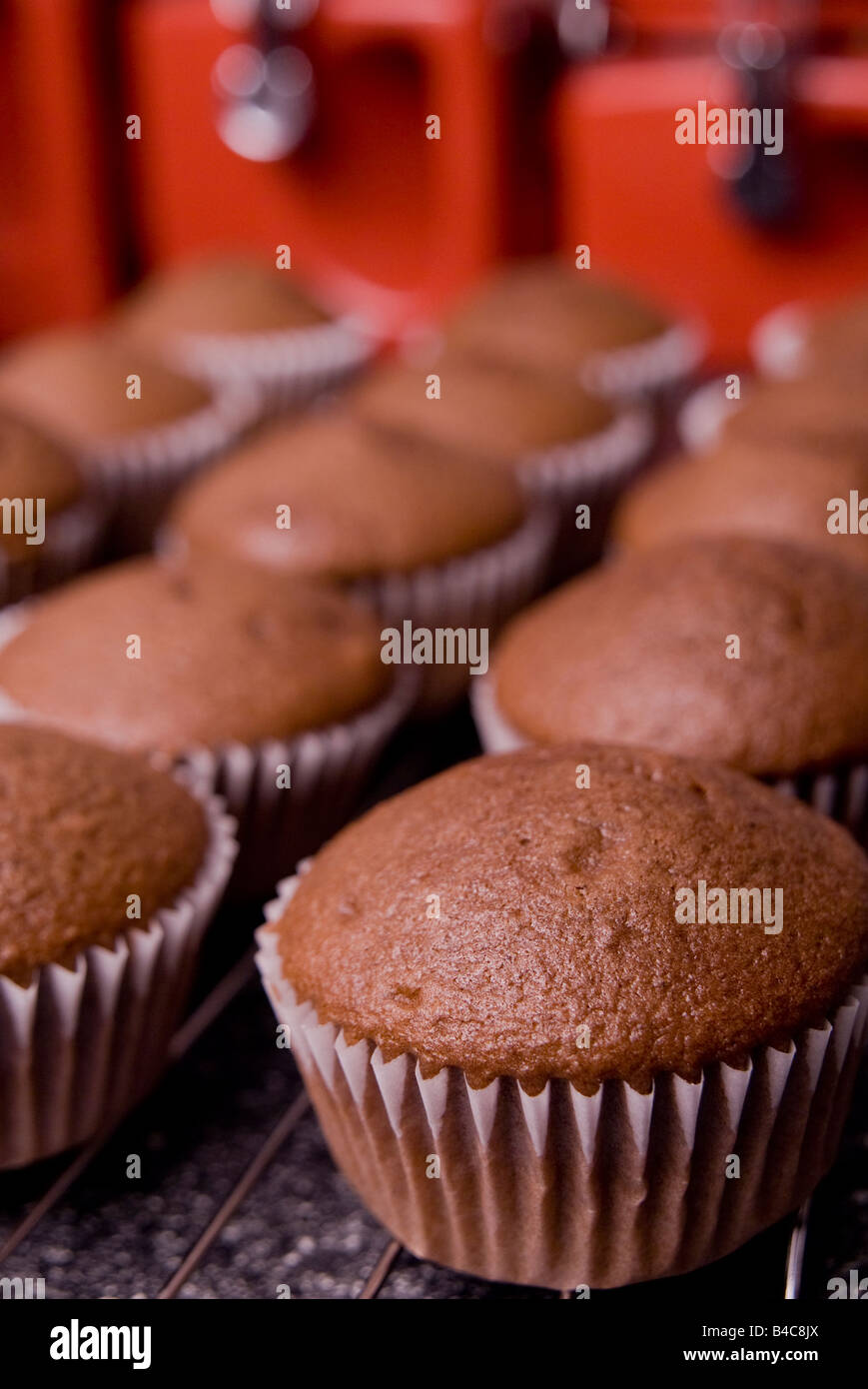 Gebackene Muffins auf einem Kuchengitter Stockfoto