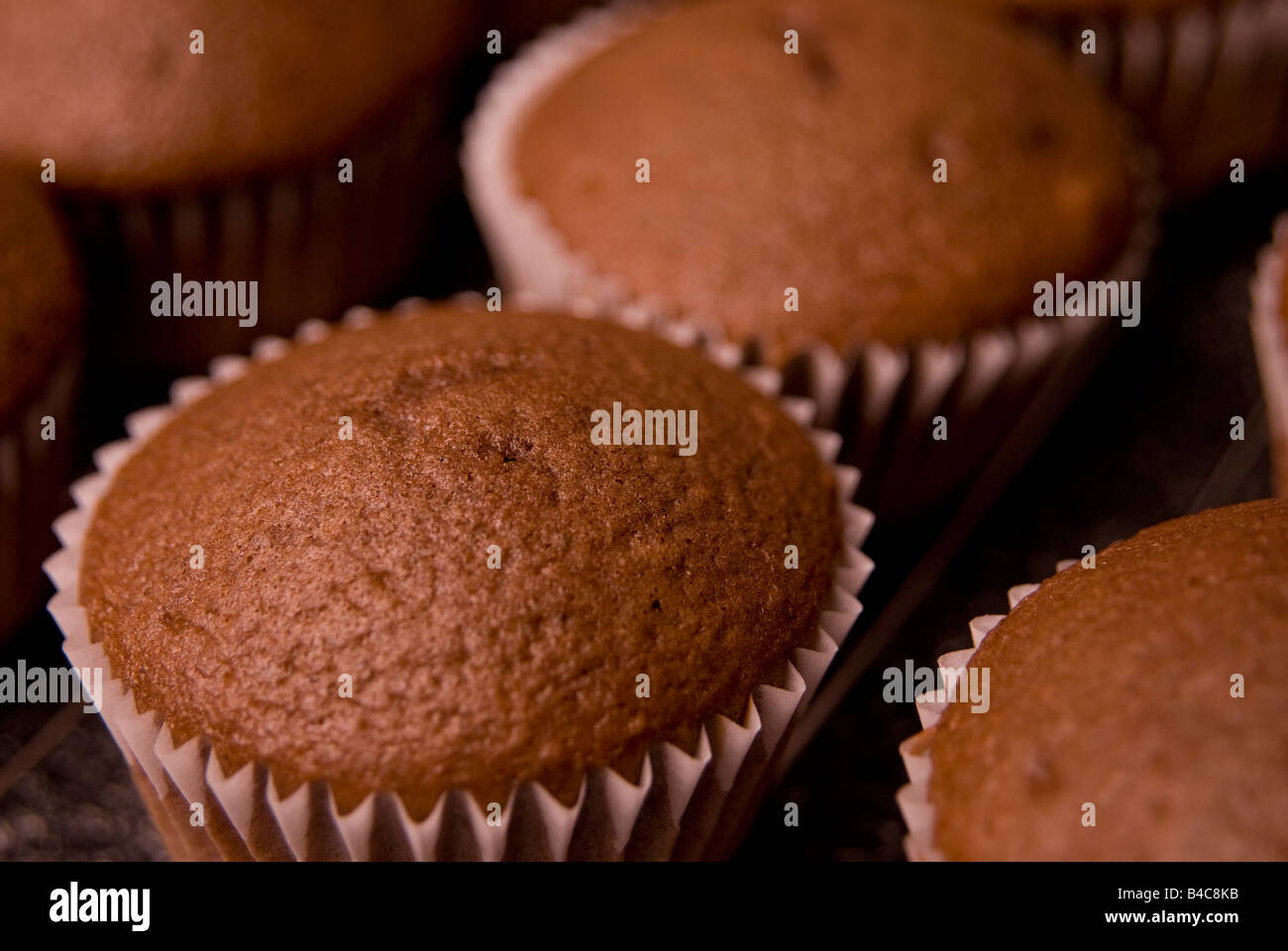 Gebackene Muffins auf einem Kuchengitter Stockfoto
