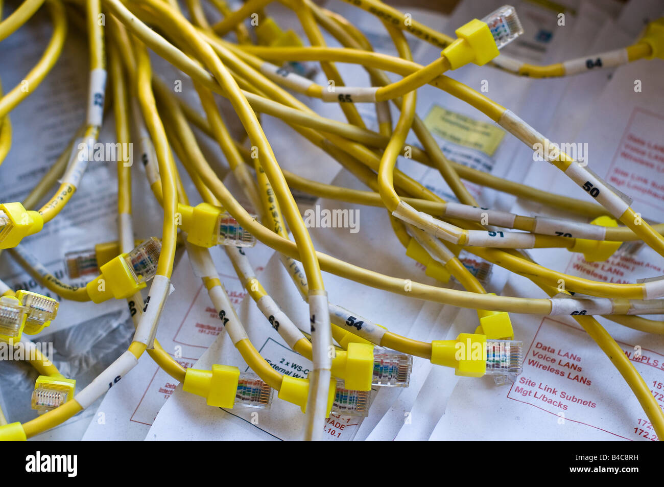 Gelbe Ethernet-Kabel liegen oben auf einem Netzwerk-Layout/design Stockfoto
