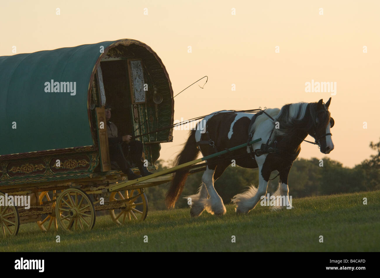 Zigeuner-Wohnwagen oder Wohn-Wagen von Gypsy Vanner Pferd gezogen Stockfoto