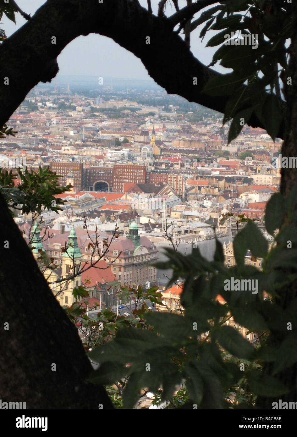 Blick auf Budapest durch die Äste eines Baumes. Stockfoto