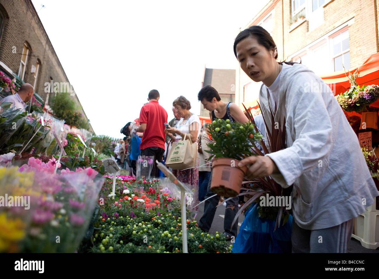 Kolumbien Straße Blumenmarkt an einem Sonntagmorgen, Bethnal Green, East London Stockfoto