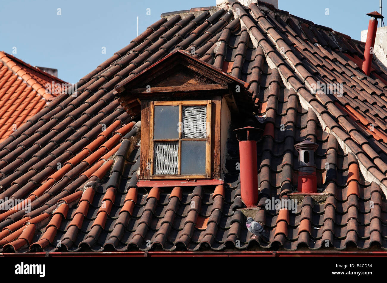 Prag-Dächer, Schornstein, Wellen, Fenster und Taube. Typische Dächer der historischen Gebäude im historischen Zentrum von Prag. Stockfoto