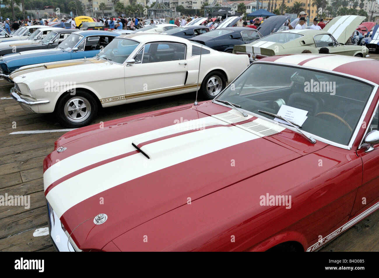 Ford Mustangs verschiedener Alter und Zustand Stockfoto