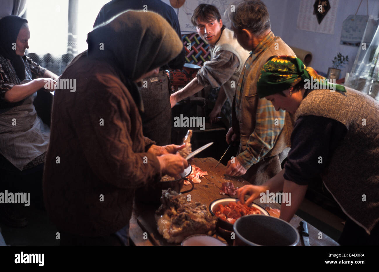 Die ganze Familie hilft, einen geschlachteten Pic in Antalokpataka Dorf Siebenbürgen Rumänien Metzger Stockfoto
