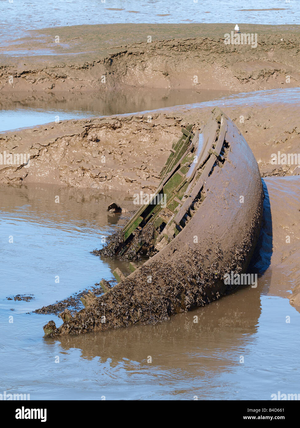 Alten Holzboot teilweise begraben im Schlamm bei Ebbe im Fluß Torridge, Bideford, Devon Stockfoto