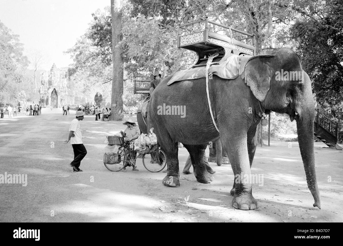 21. Januar 2003 - Mahouts und ihre Elefanten in Angkor nahe der kambodschanischen Stadt Siem Riep. Stockfoto