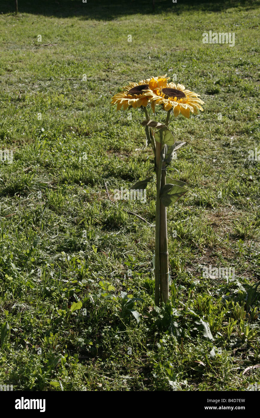 zwei plastische Sonnenblumen im Garten Sonne Stockfoto