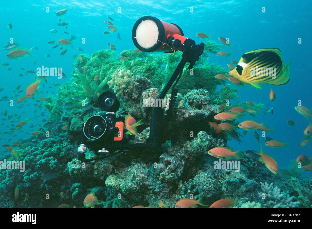 Eine Unterwasserkamera Nikonos V "on Location" im Roten Meer mit 20mm-Weitwinkel-Objektiv und Sucher plus SB103 Strobe. Stockfoto