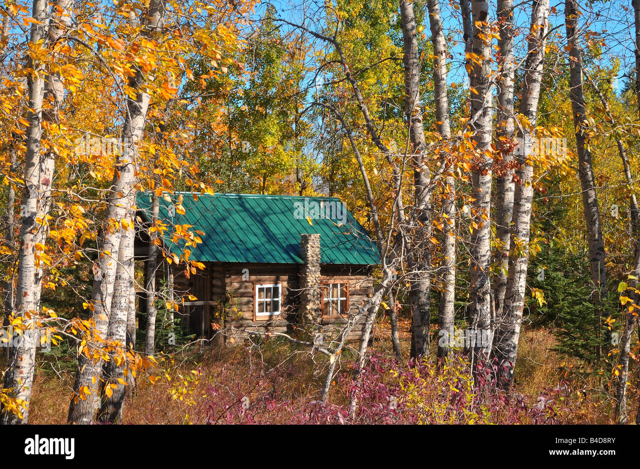 Hütte im Wald Stockfotografie - Alamy