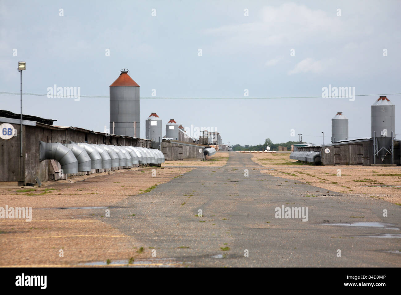 Allgemeine Ansicht von Bernard Matthews Türkei Bauernhof gebaut auf den ehemaligen Kriegszeit Runways der RAF Halesworth in Suffolk Stockfoto