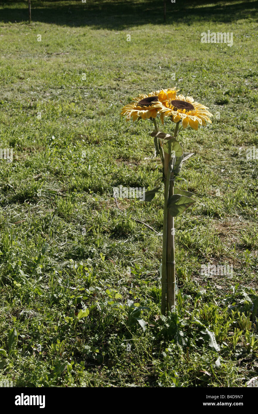zwei plastische Sonnenblumen im Garten Sonne Stockfoto