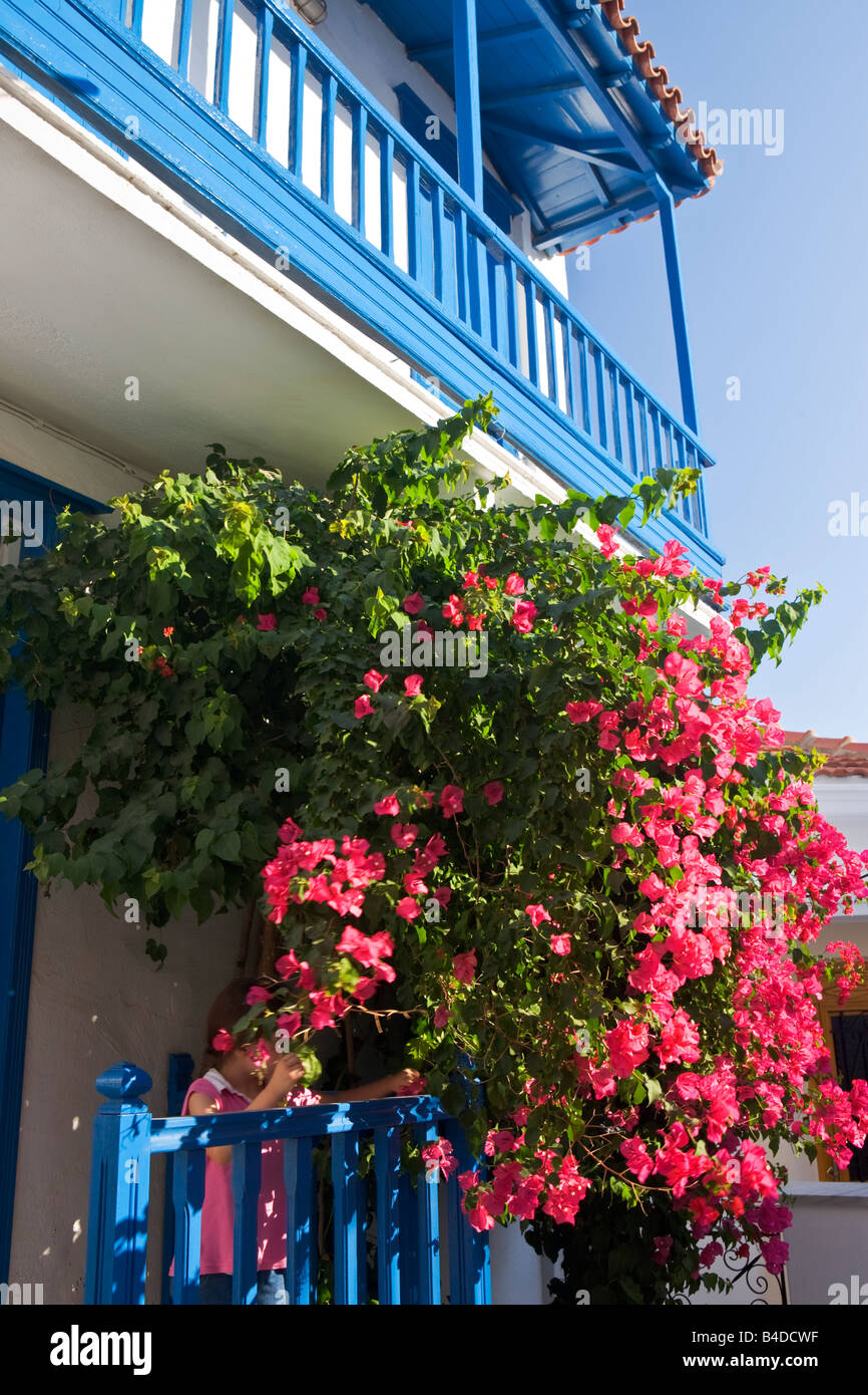 Mädchen Blumen pflücken unter Bougainvillea Baum Skopelos Stadt griechische Inseln Griechenland Stockfoto