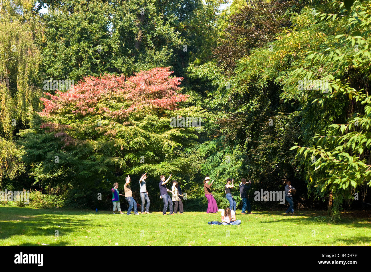 Menschen praktizieren Tai Chi in Holland Park London Vereinigtes Königreich Stockfoto