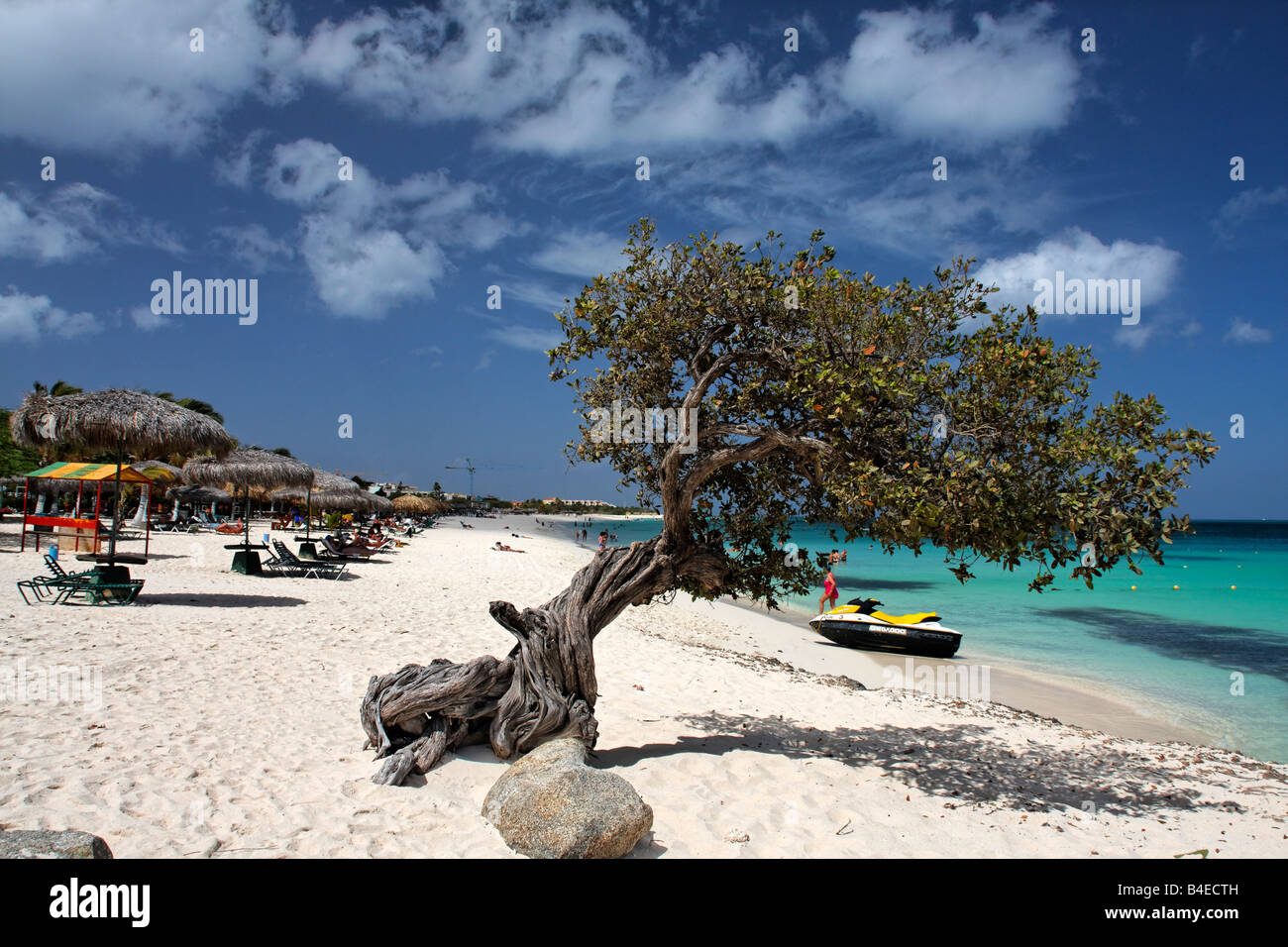 Aruba-Niederländische Antillen-Eagle beach Stockfoto