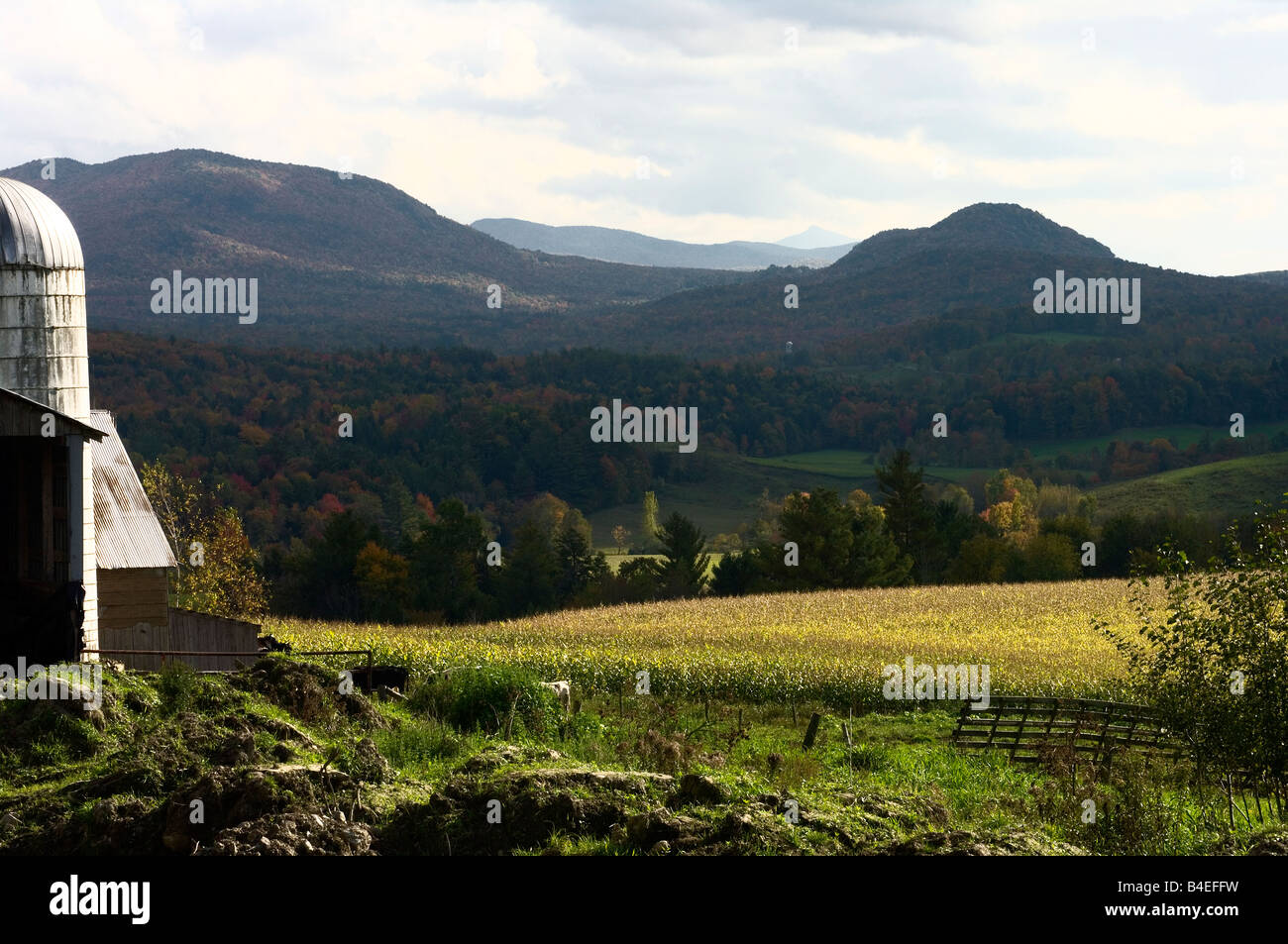 Landschaftlich reizvolle ländliche Tal in den Green Mountains von Vermont mit Vordergrund Fokus am Rand der Scheune und Silo. Stockfoto
