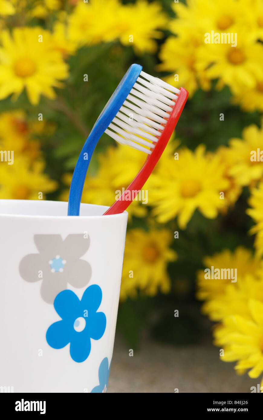 Zahnbürste Blume Stockfotos und -bilder Kaufen - Alamy