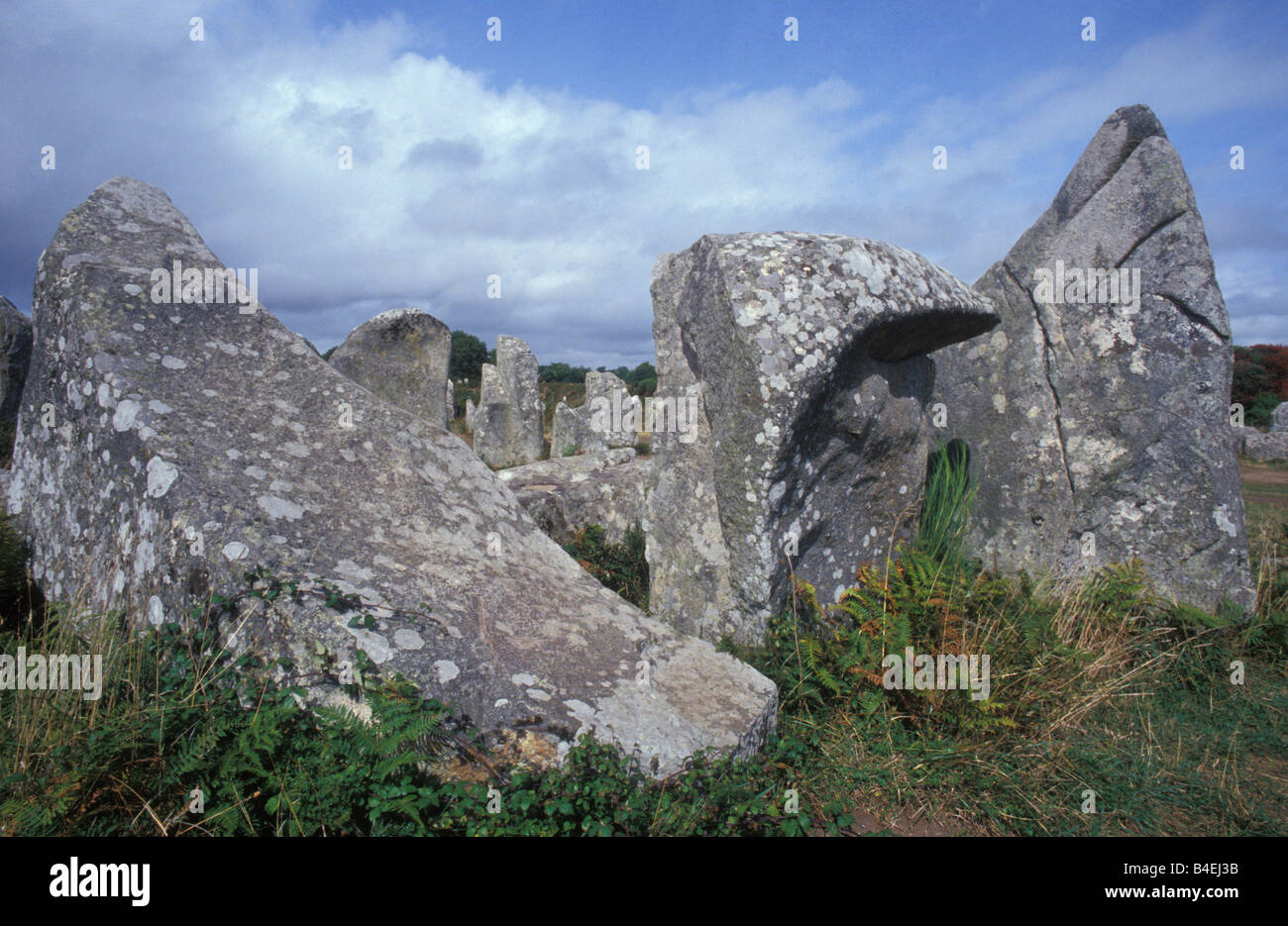 Menhir Alignements de Kerzerho in der Nähe von Carnac Brittany France Stockfoto