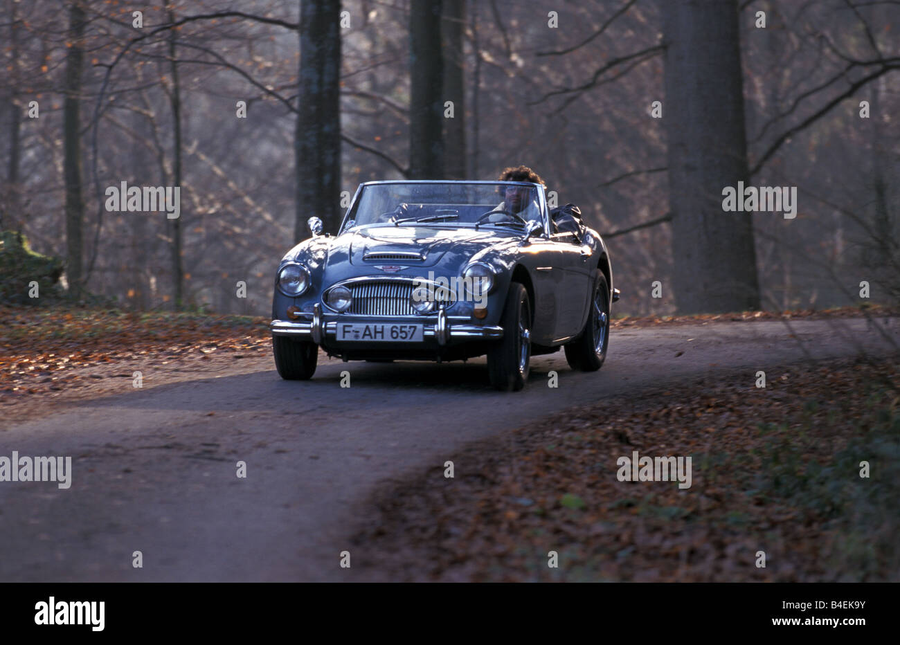 Auto, Austin Healey 3000 MK III, Cabrio, Oldtimer, Baujahr 1963-1968, dieses Auto Modell Jahr 1964, Silber, Cabrio Stockfoto