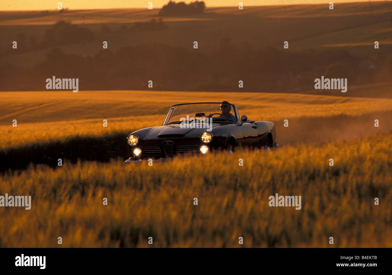 Auto, 90 Jahre Alfa Romeo, Landschaft, Natur, Sommer, Sonnenuntergang, Oldtimer Auto, 1960er Jahre, sechziger Jahre, 2600 Spider Touring 1963, Cabrio Stockfoto