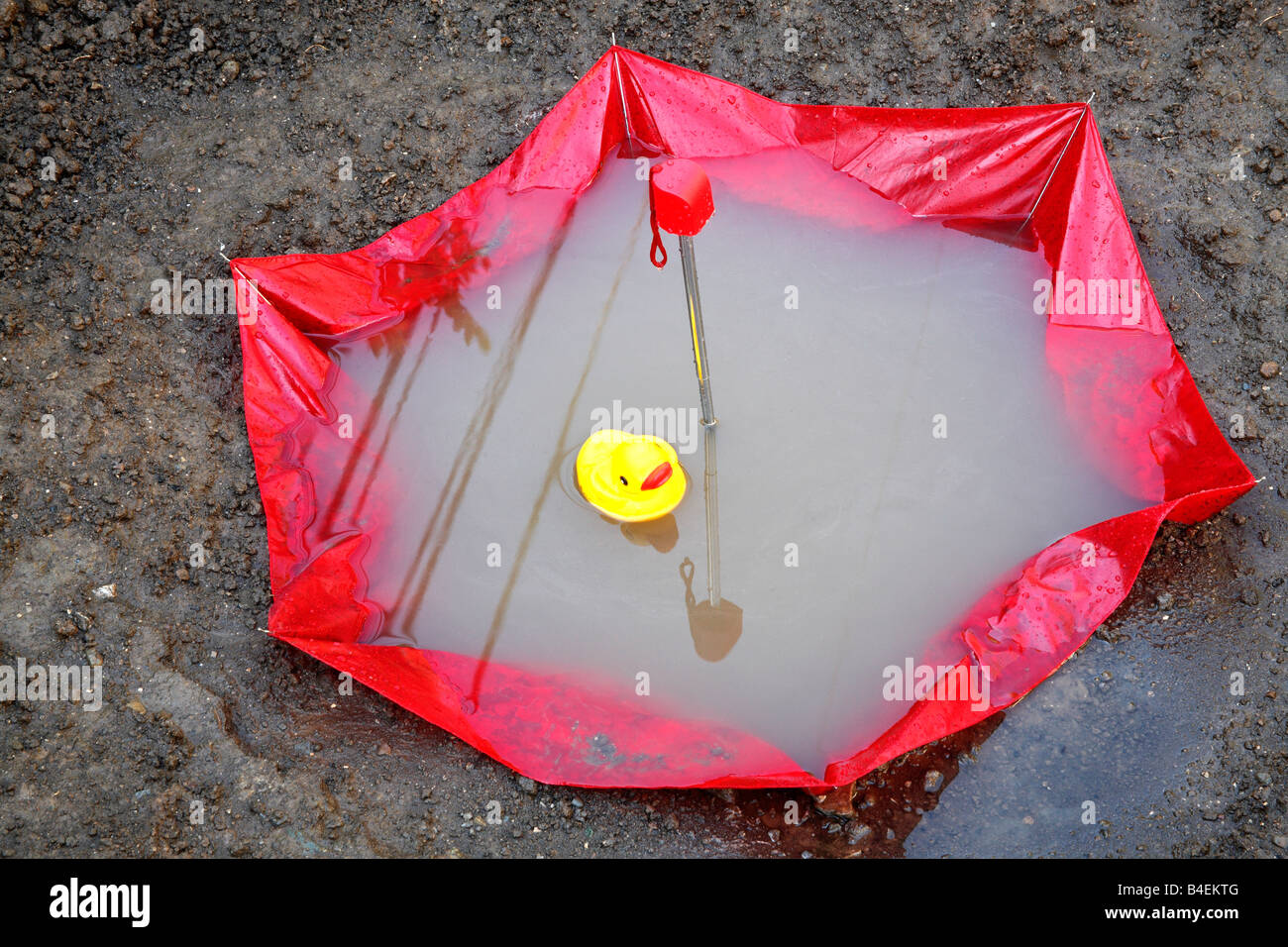 Gummiente im Kopf schweben Regenschirm mit schlammigen Wasser gefüllt Stockfoto