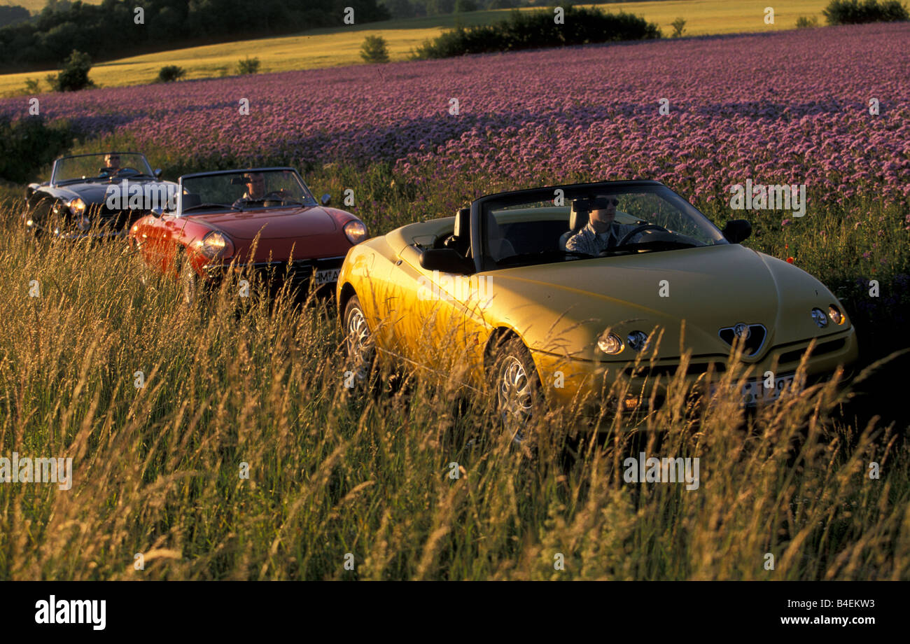 Auto, 90 Jahre Alfa Romeo, Landschaft, Natur, Sommer, Oldtimer, 1960er Jahre, sechziger Jahre, gelb, Alfa Romeo Spider 2.0 Twin Spark, con Stockfoto