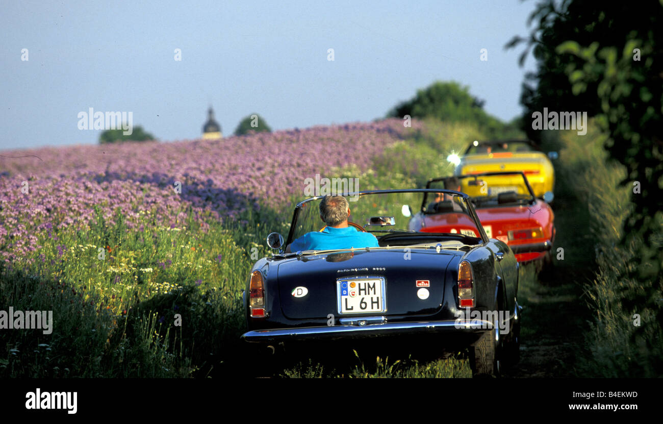 Auto, 90 Jahre Alfa Romeo, Landschaft, Natur, Sommer, Oldtimer, 1960er Jahre, sechziger Jahre, gelb, Alfa Romeo Spider 2.0 Twin Spark, con Stockfoto