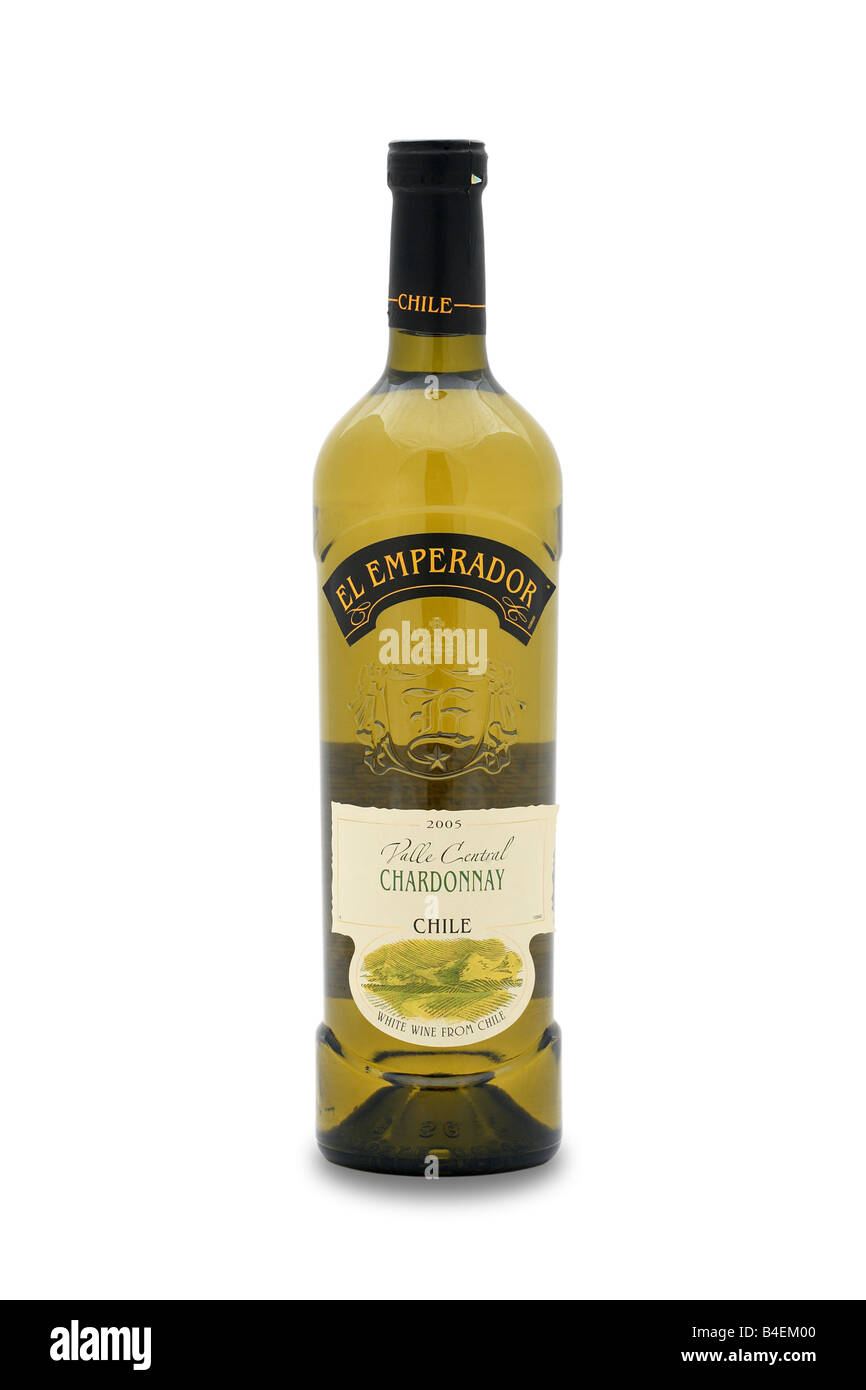 El Emperador Valle central weißen Wein Chardonnay chile Stockfoto