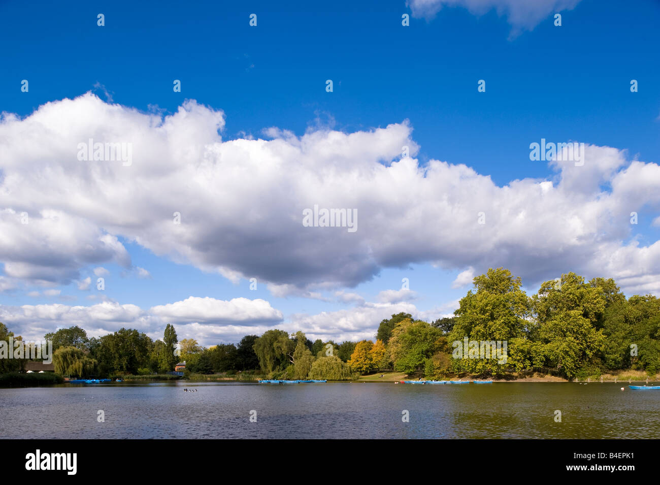 Bootfahren im Regents Park London Vereinigtes Königreich Stockfoto