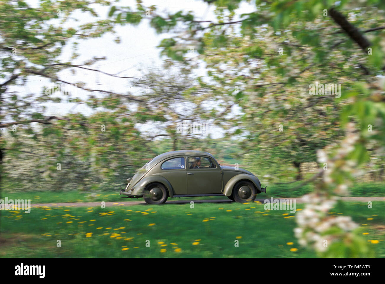 PKW, VW, Volkswagen, Käfer Typ 1, Brezel Käfer, Limousine, Oldtimer, Baujahr 1949-1953, 1940er Jahre, vierziger Jahre, 1950er Jahre, 50er Jahre, l Stockfoto