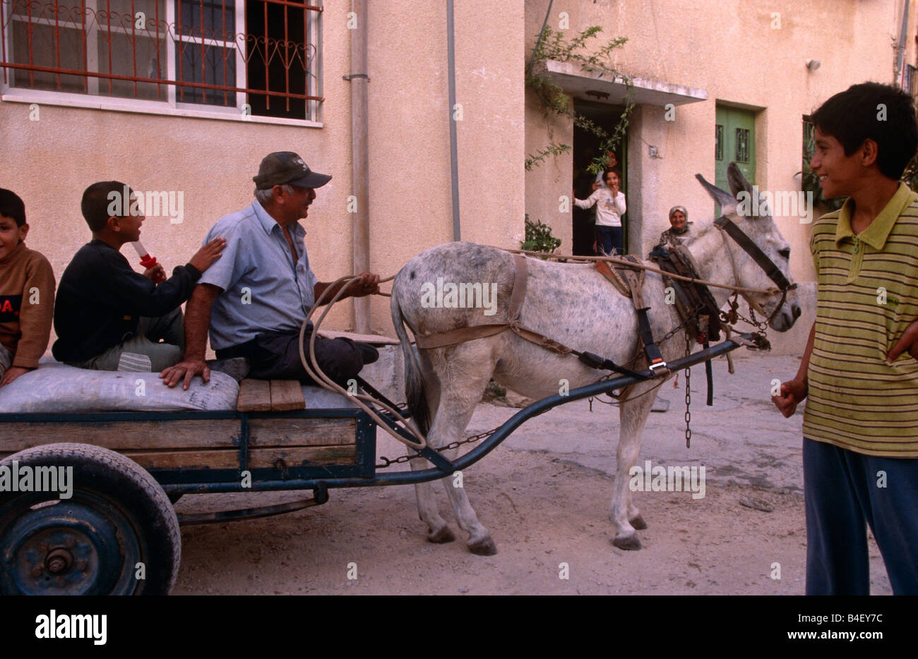 Mann und Kinder reiten auf Eselskarren, Palästina Stockfoto