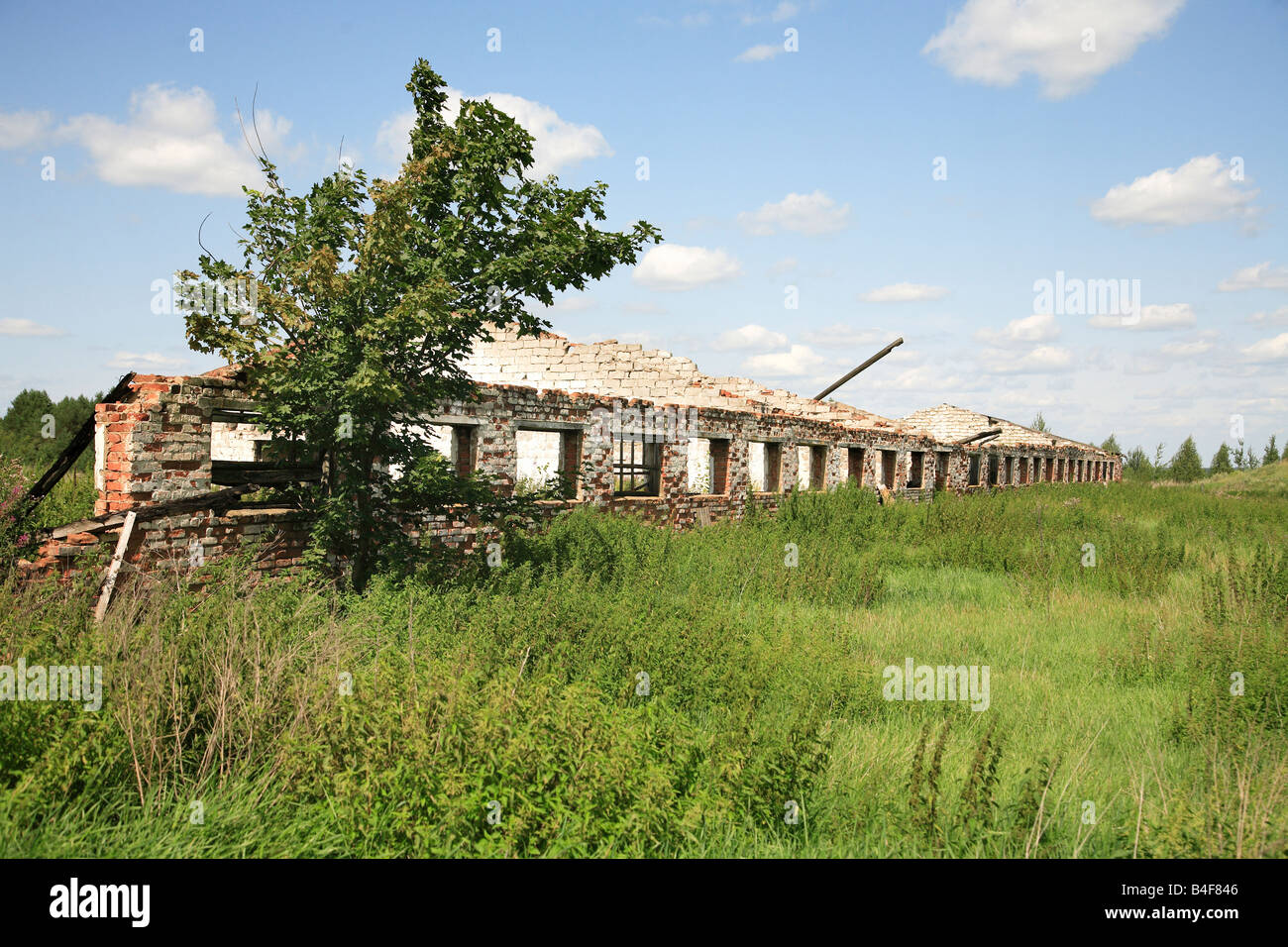 Ein verlassenes Gebäude in der eingeschränkten radioaktive Zone in der Nähe von Gomel, Weißrussland Stockfoto